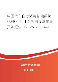 中國汽車自動緊急制動系統(tǒng)（AEB）行業(yè)分析與發(fā)展前景預測報告（2025-2031年）