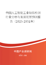 中國人工智能工業(yè)缺陷檢測行業(yè)分析與發(fā)展前景預(yù)測報告（2025-2031年）