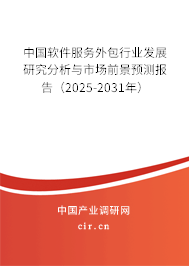 中國軟件服務(wù)外包行業(yè)發(fā)展研究分析與市場前景預(yù)測報(bào)告（2025-2031年）