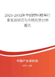 2025-2031年中國塑料腰帶行業(yè)發(fā)展研究與市場前景分析報(bào)告
