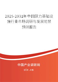 2025-2031年中國(guó)算力基礎(chǔ)設(shè)施行業(yè)市場(chǎng)調(diào)研與發(fā)展前景預(yù)測(cè)報(bào)告