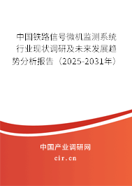 中國(guó)鐵路信號(hào)微機(jī)監(jiān)測(cè)系統(tǒng)行業(yè)現(xiàn)狀調(diào)研及未來(lái)發(fā)展趨勢(shì)分析報(bào)告（2025-2031年）