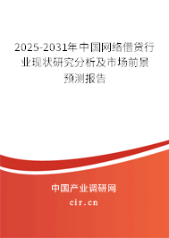 2025-2031年中國網(wǎng)絡(luò)借貸行業(yè)現(xiàn)狀研究分析及市場前景預(yù)測報告