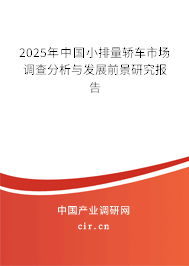 2025年中國(guó)小排量轎車市場(chǎng)調(diào)查分析與發(fā)展前景研究報(bào)告