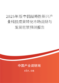 2025年版中國戰(zhàn)略性新興產(chǎn)業(yè)科技成果轉(zhuǎn)化市場調(diào)研與發(fā)展前景預(yù)測報告