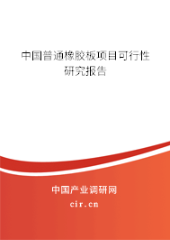 中國普通橡膠板項目可行性研究報告