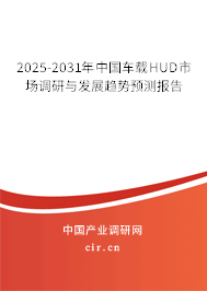 2025-2031年中國車載HUD市場調(diào)研與發(fā)展趨勢預(yù)測報告