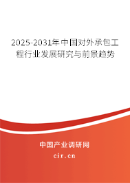 2025-2031年中國對外承包工程行業(yè)發(fā)展研究與前景趨勢