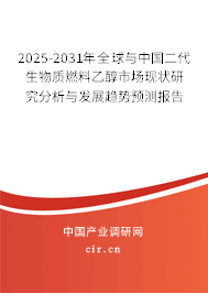 2025-2031年全球與中國二代生物質燃料乙醇市場現(xiàn)狀研究分析與發(fā)展趨勢預測報告 2025-2031年全球與中國二代生物質燃料乙醇市場現(xiàn)狀研究分析與發(fā)展趨勢預測報告