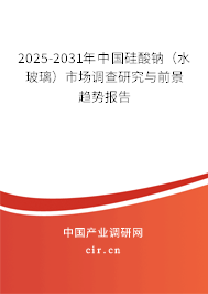 2025-2031年中國硅酸鈉（水玻璃）市場調(diào)查研究與前景趨勢報告