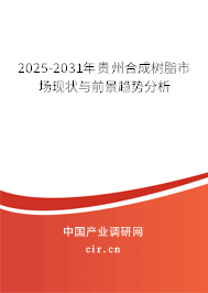 2025-2031年貴州合成樹脂市場(chǎng)現(xiàn)狀與前景趨勢(shì)分析