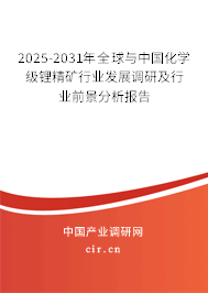 2025-2031年全球與中國化學(xué)級(jí)鋰精礦行業(yè)發(fā)展調(diào)研及行業(yè)前景分析報(bào)告