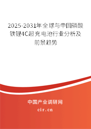 2025-2031年全球與中國磷酸鐵鋰4C超充電池行業(yè)分析及前景趨勢