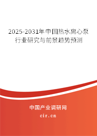 2025-2031年中國熱水離心泵行業(yè)研究與前景趨勢預(yù)測