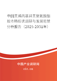 中國三烯丙基異三聚氰酸酯膠市場現(xiàn)狀調(diào)研與發(fā)展前景分析報(bào)告（2025-2031年）