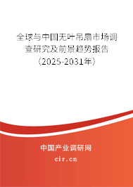 全球與中國(guó)無葉吊扇市場(chǎng)調(diào)查研究及前景趨勢(shì)報(bào)告（2025-2031年）