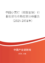 中國小蘇打（碳酸氫鈉）行業(yè)現(xiàn)狀與市場前景分析報(bào)告（2025-2031年）