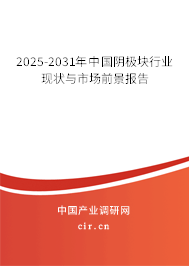 2025-2031年中國陰極塊行業(yè)現(xiàn)狀與市場前景報告