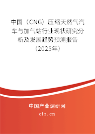 中國（CNG）壓縮天然氣汽車與加氣站行業(yè)現(xiàn)狀研究分析及發(fā)展趨勢預(yù)測報告（2025年）