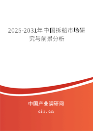 2025-2031年中國拆船市場研究與前景分析