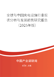 全球與中國充電設(shè)施行業(yè)現(xiàn)狀分析與發(fā)展趨勢研究報告（2025年版）