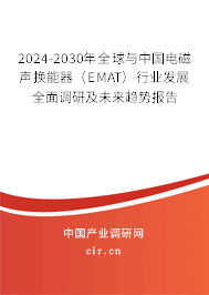 2024-2030年全球與中國電磁聲換能器（EMAT）行業(yè)發(fā)展全面調研及未來趨勢報告