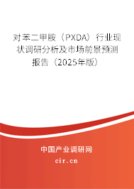 對苯二甲胺（PXDA）行業(yè)現(xiàn)狀調(diào)研分析及市場前景預(yù)測報(bào)告（2025年版）