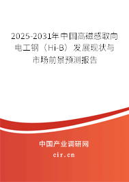 2025-2031年中國高磁感取向電工鋼（Hi-B）發(fā)展現(xiàn)狀與市場前景預測報告