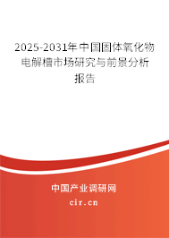 2025-2031年中國固體氧化物電解槽市場研究與前景分析報告
