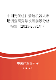 中國光伏組件清潔機器人市場調(diào)查研究與發(fā)展前景分析報告（2025-2031年）