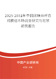 2025-2031年中國滾珠絲桿直線模組市場調(diào)查研究與前景趨勢報告