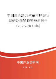 中國混合動(dòng)力汽車市場(chǎng)現(xiàn)狀調(diào)研及前景趨勢(shì)預(yù)測(cè)報(bào)告（2025-2031年）