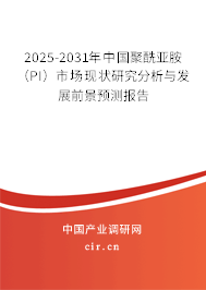 2025-2031年中國聚酰亞胺（PI）市場現(xiàn)狀研究分析與發(fā)展前景預(yù)測報告