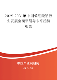 2025-2031年中國偏硼酸鈉行業(yè)發(fā)展全面調研與未來趨勢報告