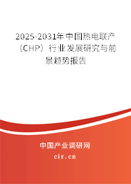 2025-2031年中國熱電聯(lián)產(chǎn)（CHP）行業(yè)發(fā)展研究與前景趨勢報(bào)告