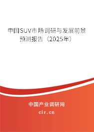 中國(guó)SUV市場(chǎng)調(diào)研與發(fā)展前景預(yù)測(cè)報(bào)告（2025年）