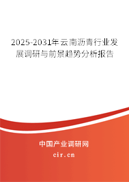 2025-2031年云南瀝青行業(yè)發(fā)展調(diào)研與前景趨勢分析報告
