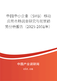 中國中小企業(yè)（SMB）移動應(yīng)用市場調(diào)查研究與前景趨勢分析報告（2025-2031年）
