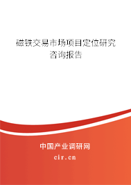 磁鐵交易市場項(xiàng)目定位研究咨詢報告