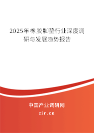 2025年橡膠腳墊行業(yè)深度調(diào)研與發(fā)展趨勢(shì)報(bào)告