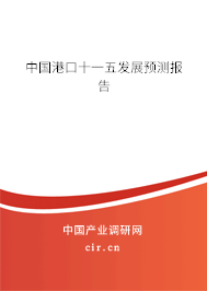 中國港口十一五發(fā)展預(yù)測報(bào)告