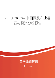 2009-2012年中國(guó)假肢產(chǎn)業(yè)運(yùn)行與投資分析報(bào)告 2009-2012年中國(guó)假肢產(chǎn)業(yè)運(yùn)行與投資分析報(bào)告