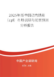 2025年版中國己內(nèi)酰胺（cpl）市場調(diào)研與前景預(yù)測分析報(bào)告