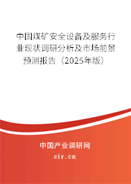 中國煤礦安全設(shè)備及服務(wù)行業(yè)現(xiàn)狀調(diào)研分析及市場前景預(yù)測報告（2025年版）