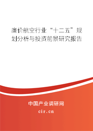 廉價(jià)航空行業(yè)“十二五”規(guī)劃分析與投資前景研究報(bào)告