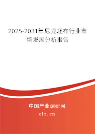 2025-2031年尼龍坯布行業(yè)市場發(fā)展分析報告