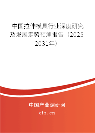 中國拉伸模具行業(yè)深度研究及發(fā)展走勢預(yù)測報告（2025-2031年）