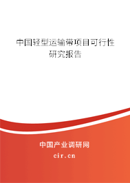 中國輕型運輸帶項目可行性研究報告