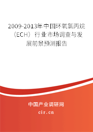 2009-2013年中國環(huán)氧氯丙烷（ECH）行業(yè)市場調(diào)查與發(fā)展前景預測報告