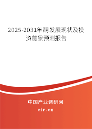 2025-2031年酮發(fā)展現(xiàn)狀及投資前景預(yù)測(cè)報(bào)告